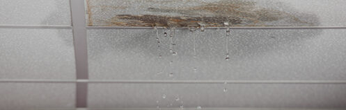 Water leaking from the ceiling of a Central Wisconsin home